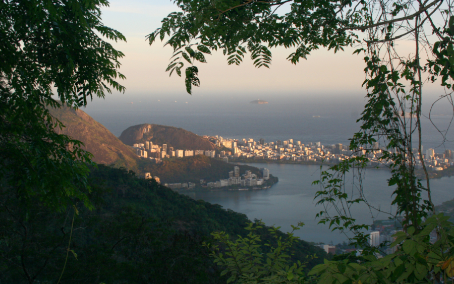 Centro de Visitantes das Paineiras - Rio de Janeiro